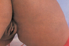 big-black-booty-ass-butts-free-vintage-retro-classic-porn-pics-30