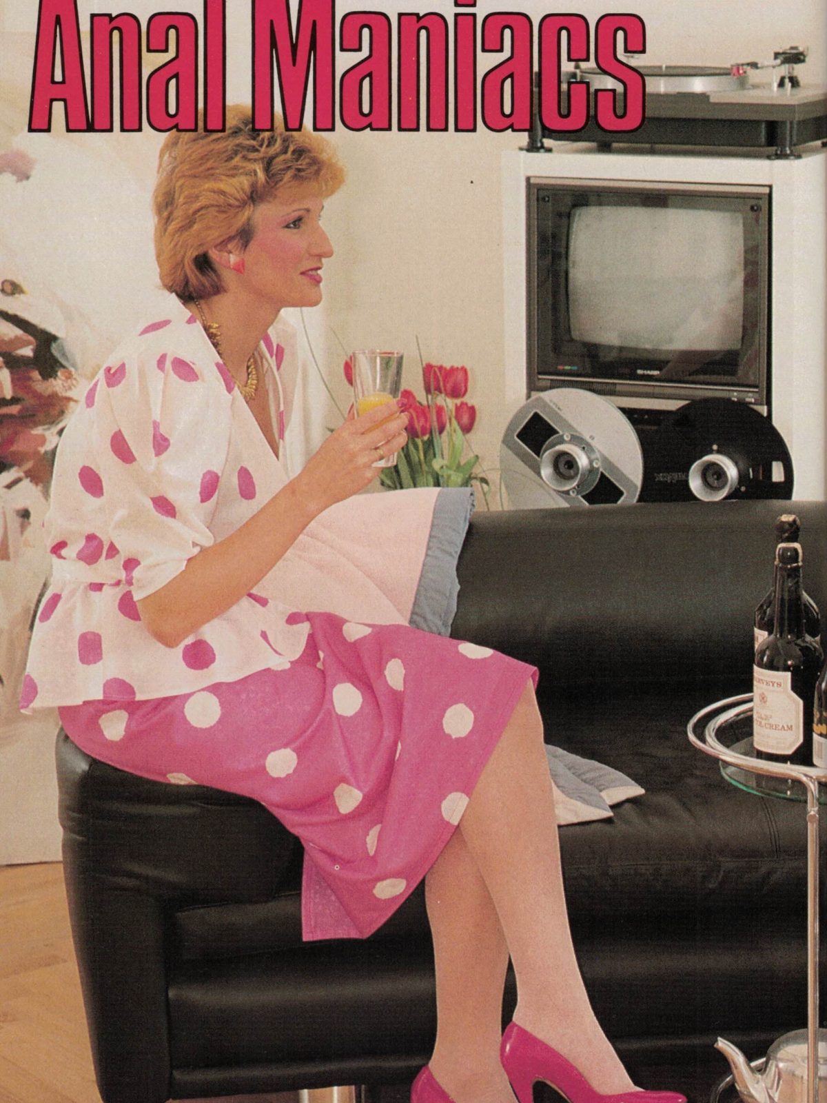 Vintage Porn Magazine - Anal Sex