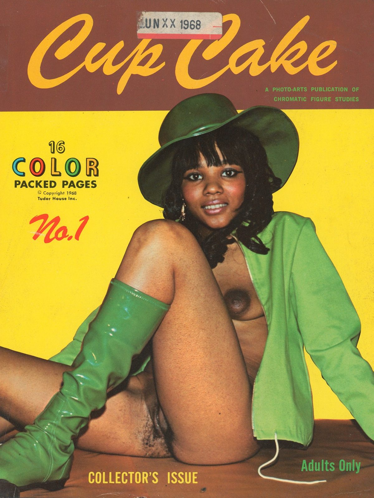 Vintage Amateur Hairy Nude Girls - Porn Magazine